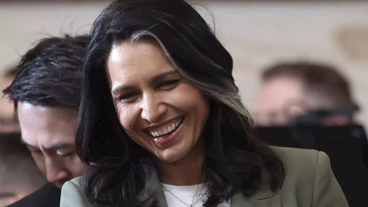 Tulsi Gabbard's meeting with Syria's Assad at center of lawmakers' questions