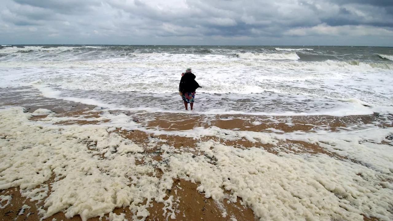 L'écume de mer, une beauté trompeuse après les tempêtes Herminia et Éowyn