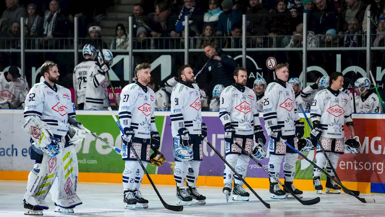 Eishockey: Das ist Dresdens Millionen-Plan für die DEL