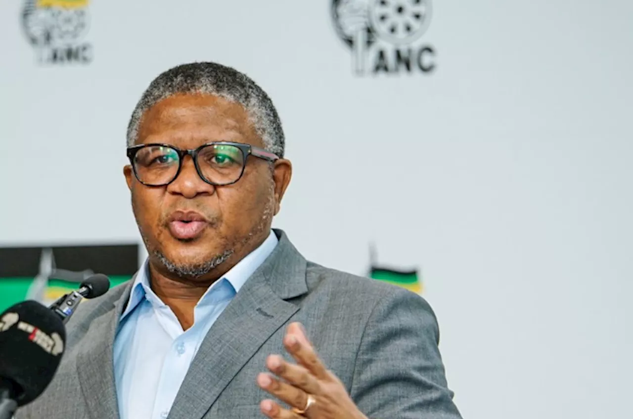 ANC Secretary-General Criticizes DA's Opposition to Land Expropriation Act