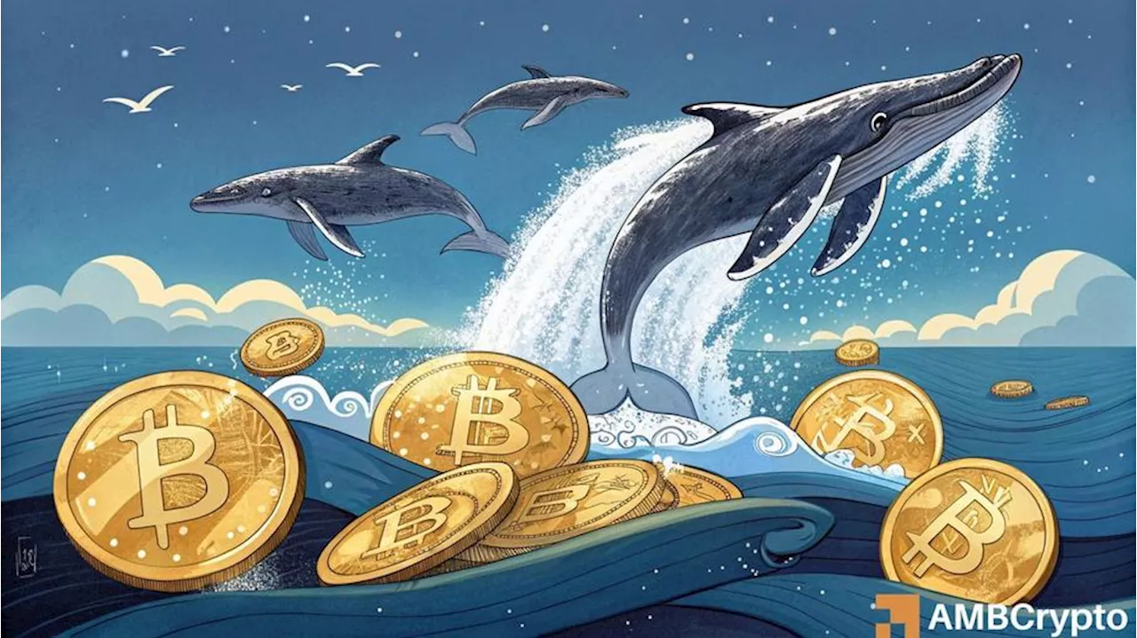 Bitcoin Whales Accumulate Amidst Market Dip, CPI Suggests Future Direction