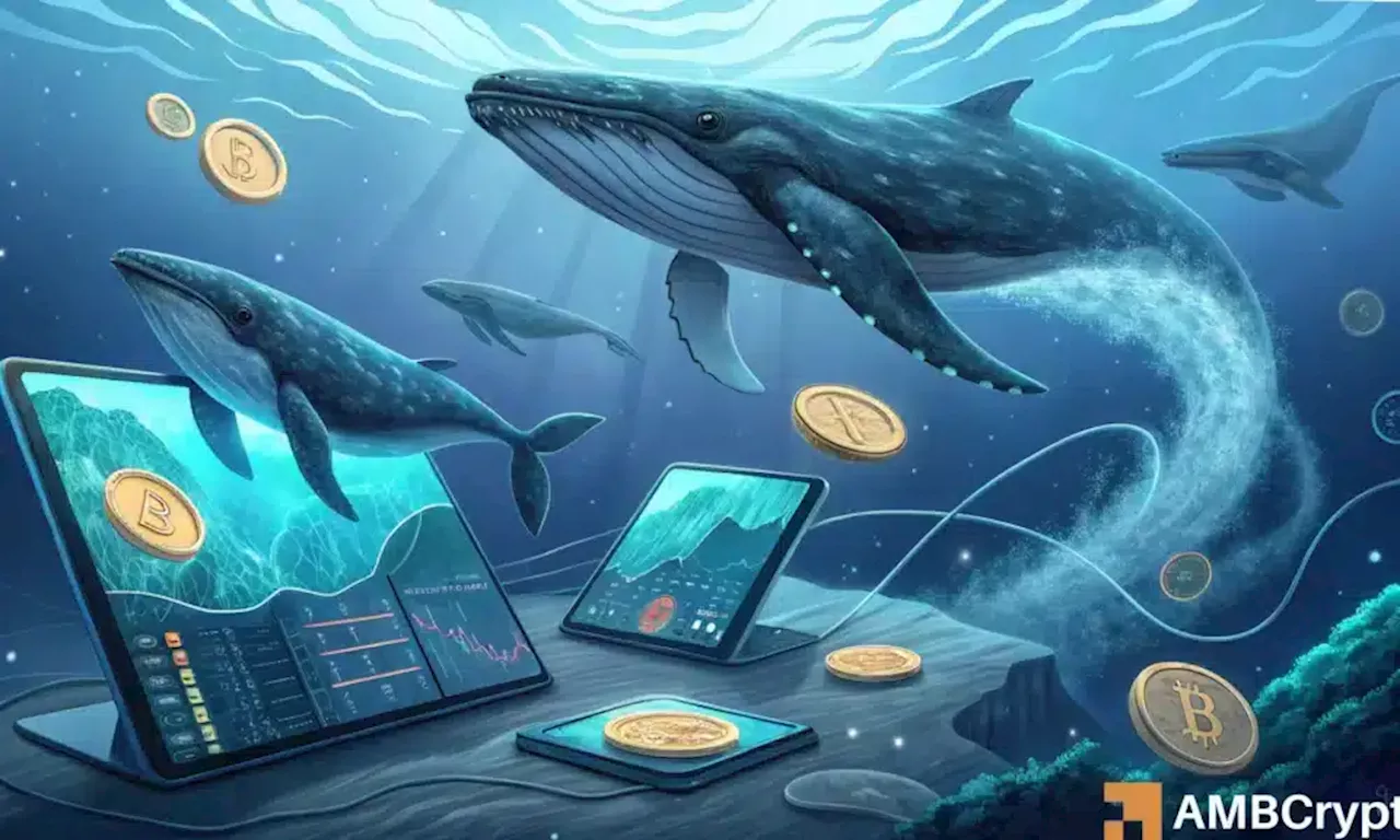 Whales buy back Bitcoin: Could this be a trap for other investors?