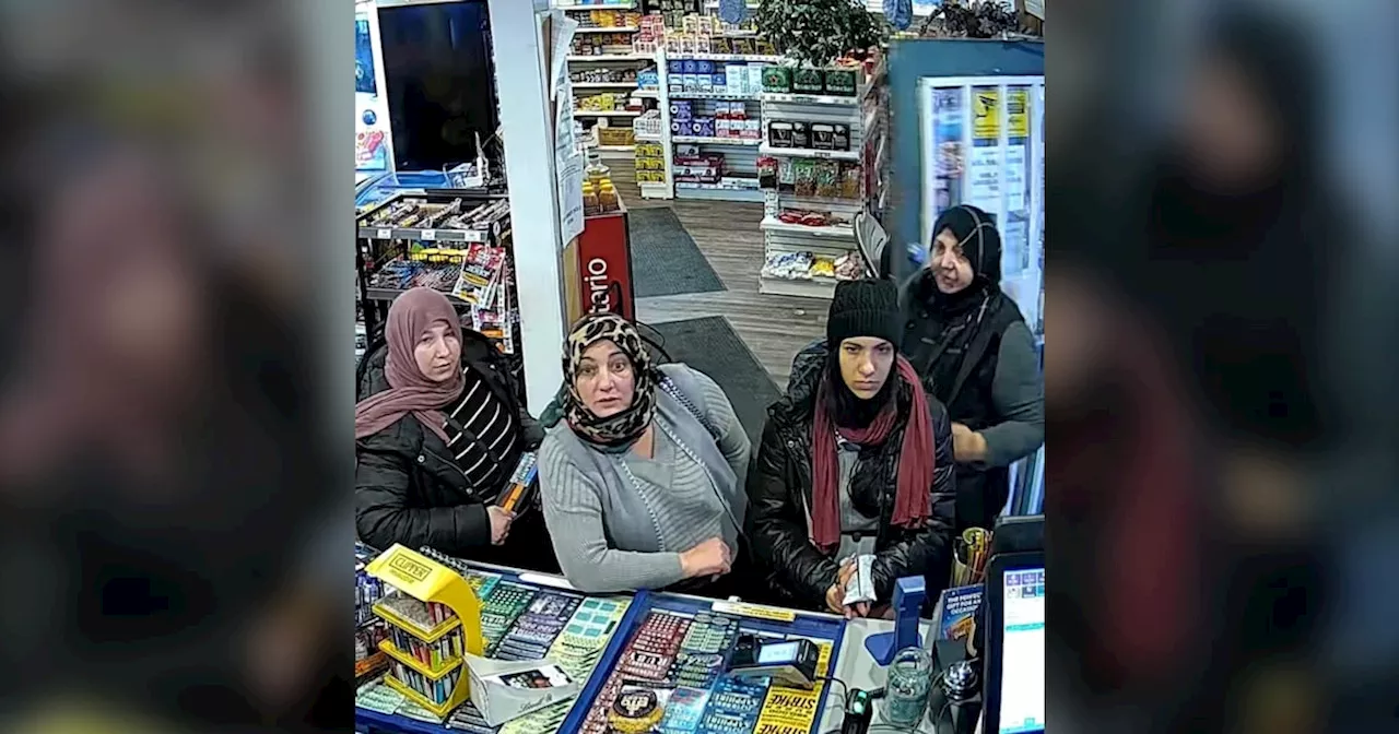 Store owner bitten by thief in distraction robbery: Hamilton police