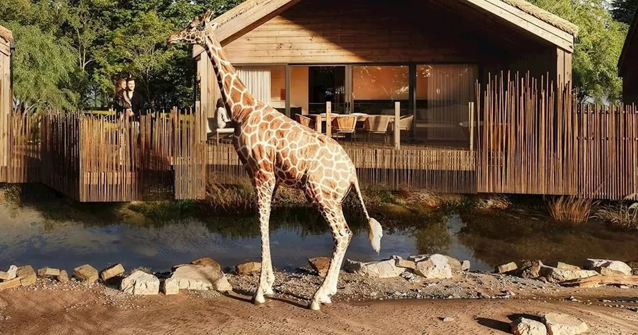 Chester Zoo Unveils Luxury Safari Lodges Set to Open in 2025