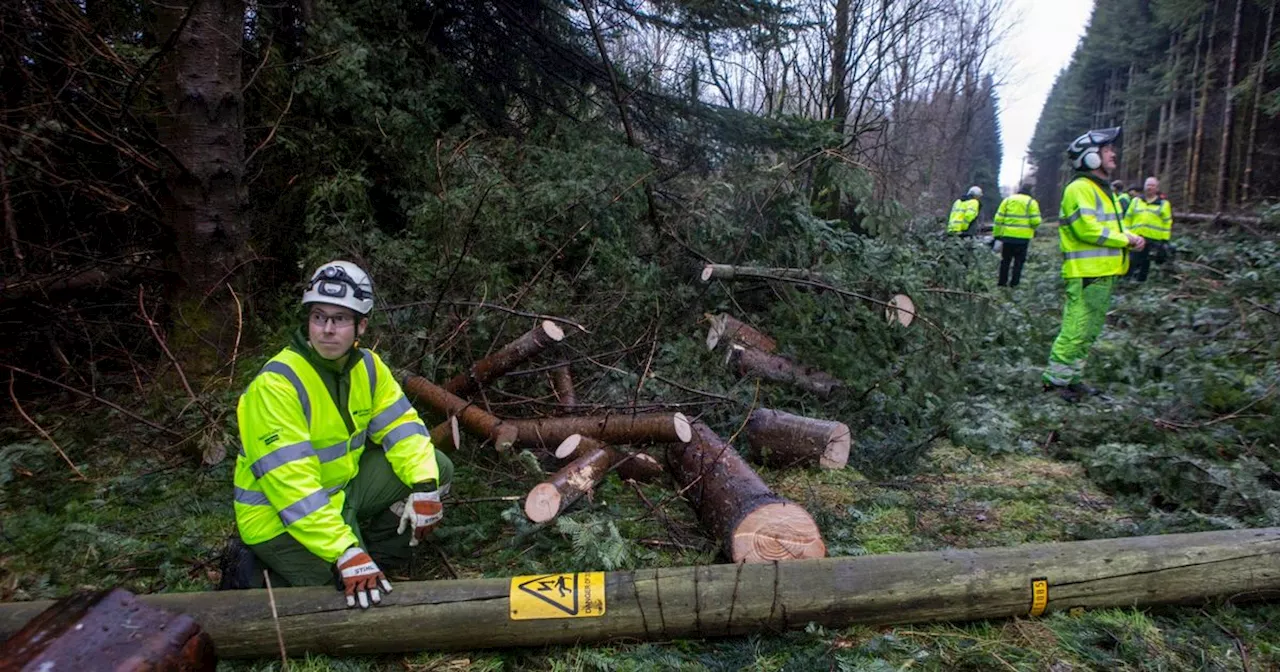 Storm Eowyn: Thousands Still Without Power As Rail Disruptions Continue