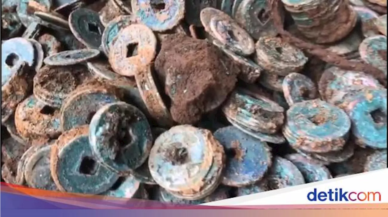 Petani Lereng Bromo Pasuruan Temukan 1 Kuintal Koin Kuno saat Tanam Kubis