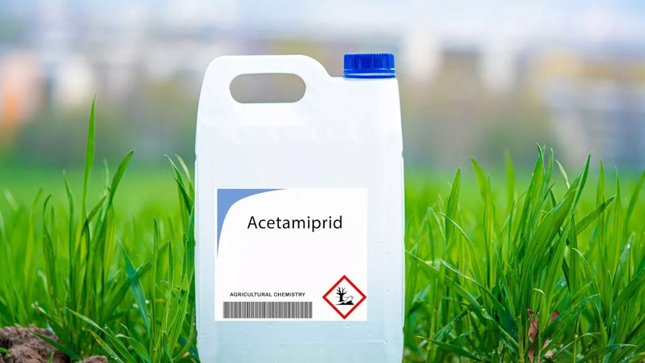 Acétamipride : quel est ce dangereux pesticide que le Sénat veut de nouveau légaliser ?