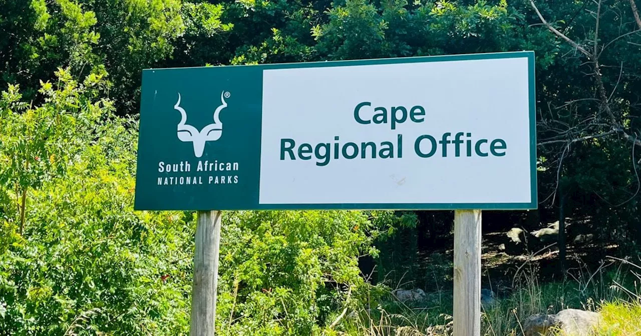 Table Mountain National Parks Sees Festive Season Crime Decline