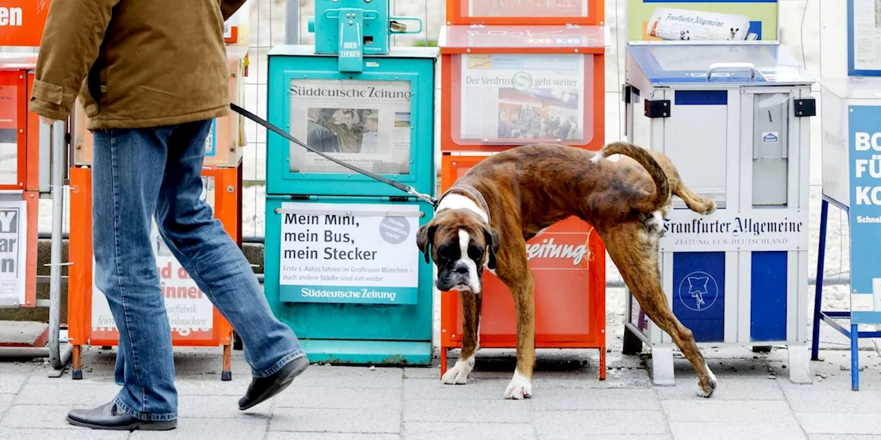 Hundeversicherung: Welche Versicherung ist für Hundehalter sinnvoll?