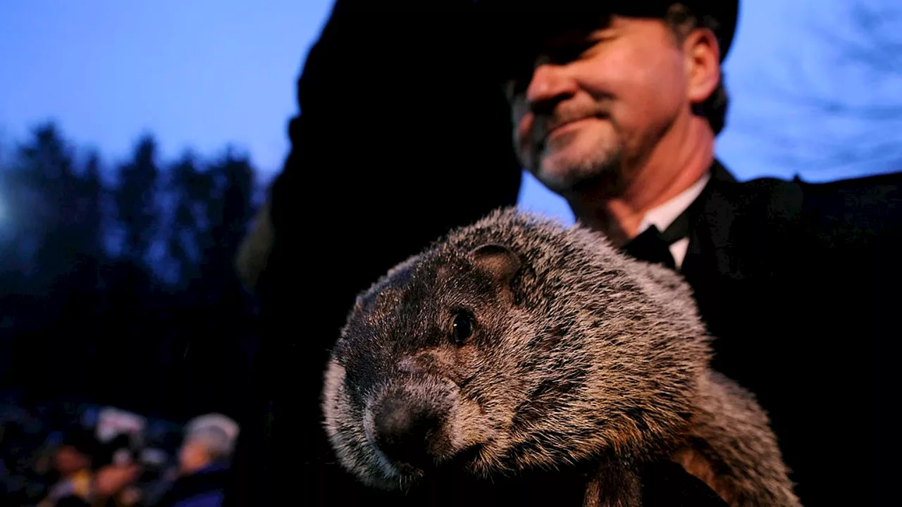 Groundhog Day: Will Phil Predict an Early Spring?