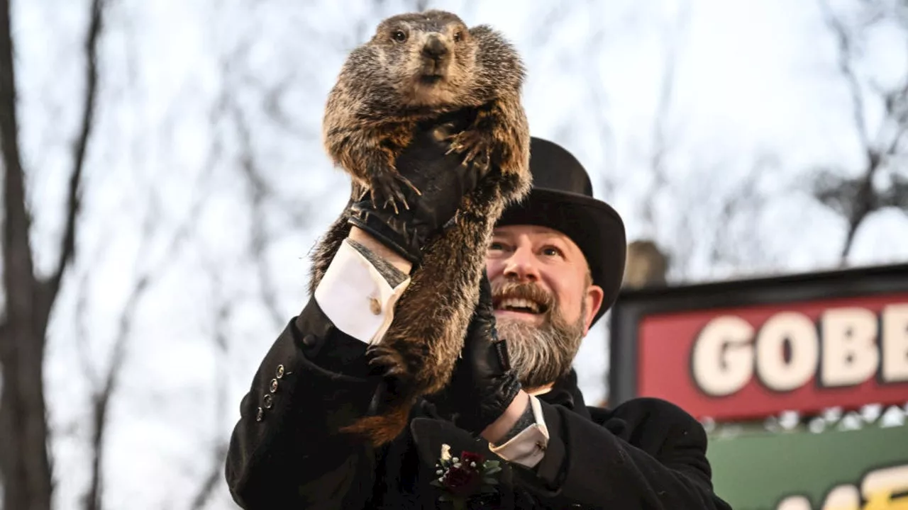 PETA Wants to Replace Groundhog Day with Vegan Cake