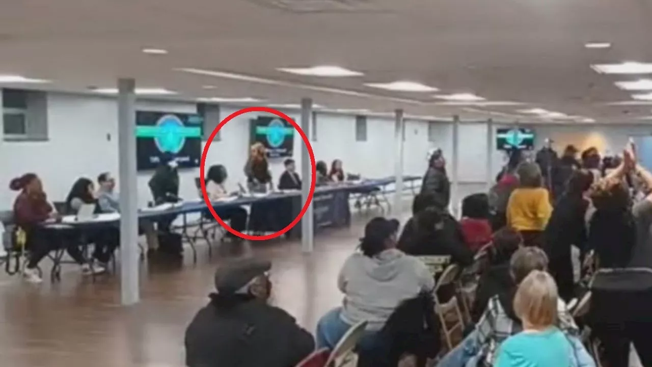 Tiffany Henyard involved in scuffle at heated Thornton Township meeting