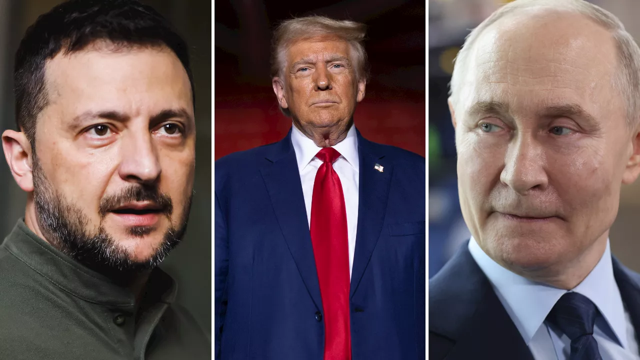 Zelenskyy: Trump's Pressure on Putin 'Just and Fair,' Hopes for 'Strong Ukraine'