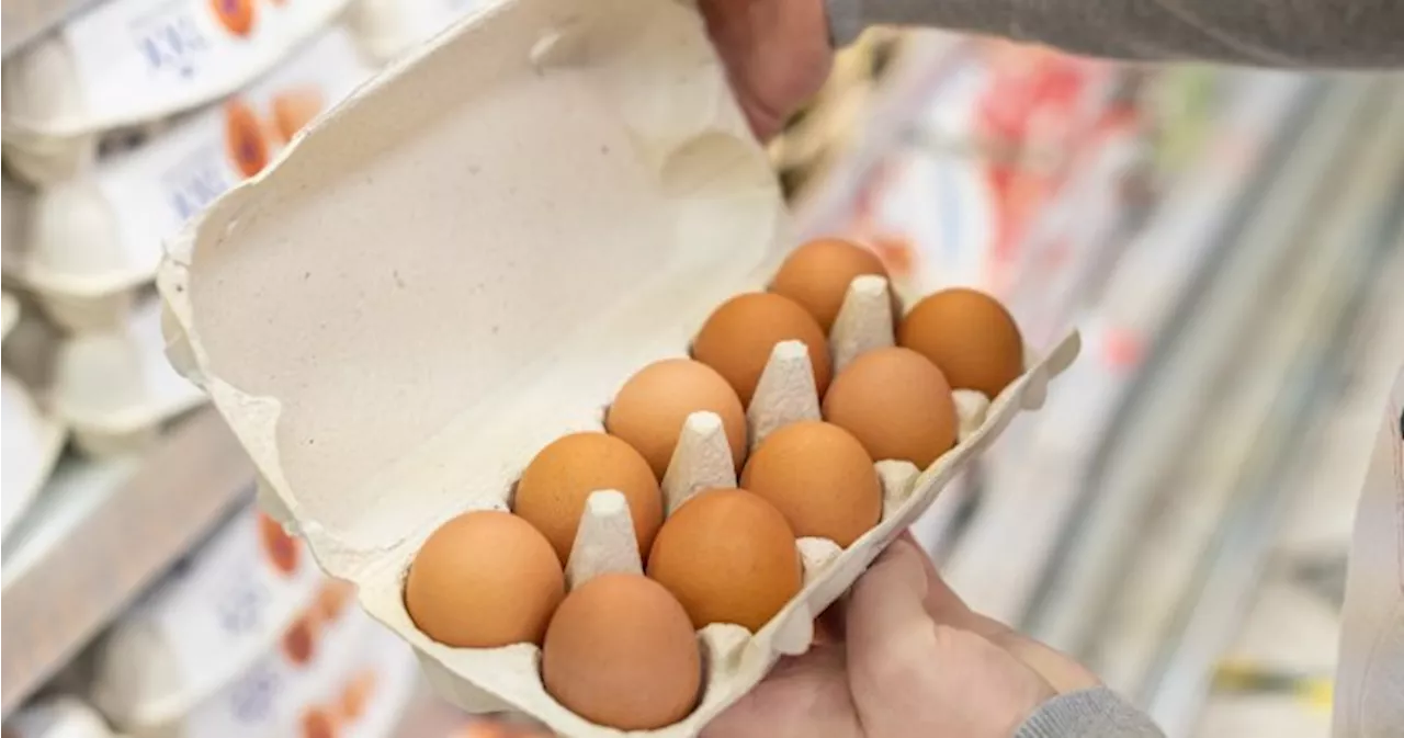 Canada's Egg System Weathering the Storm While US Prices Soar