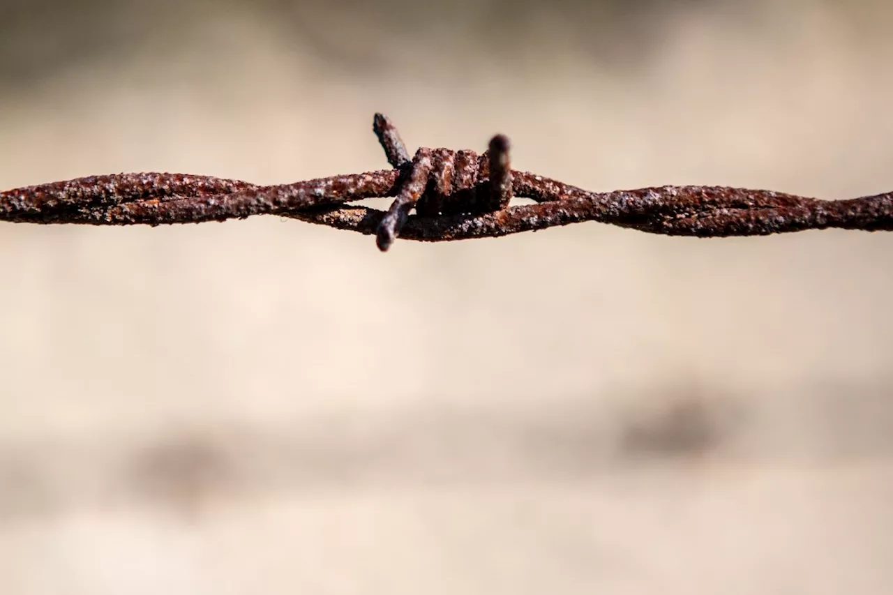 Die Verschwiegenheit über die Befreier von Auschwitz