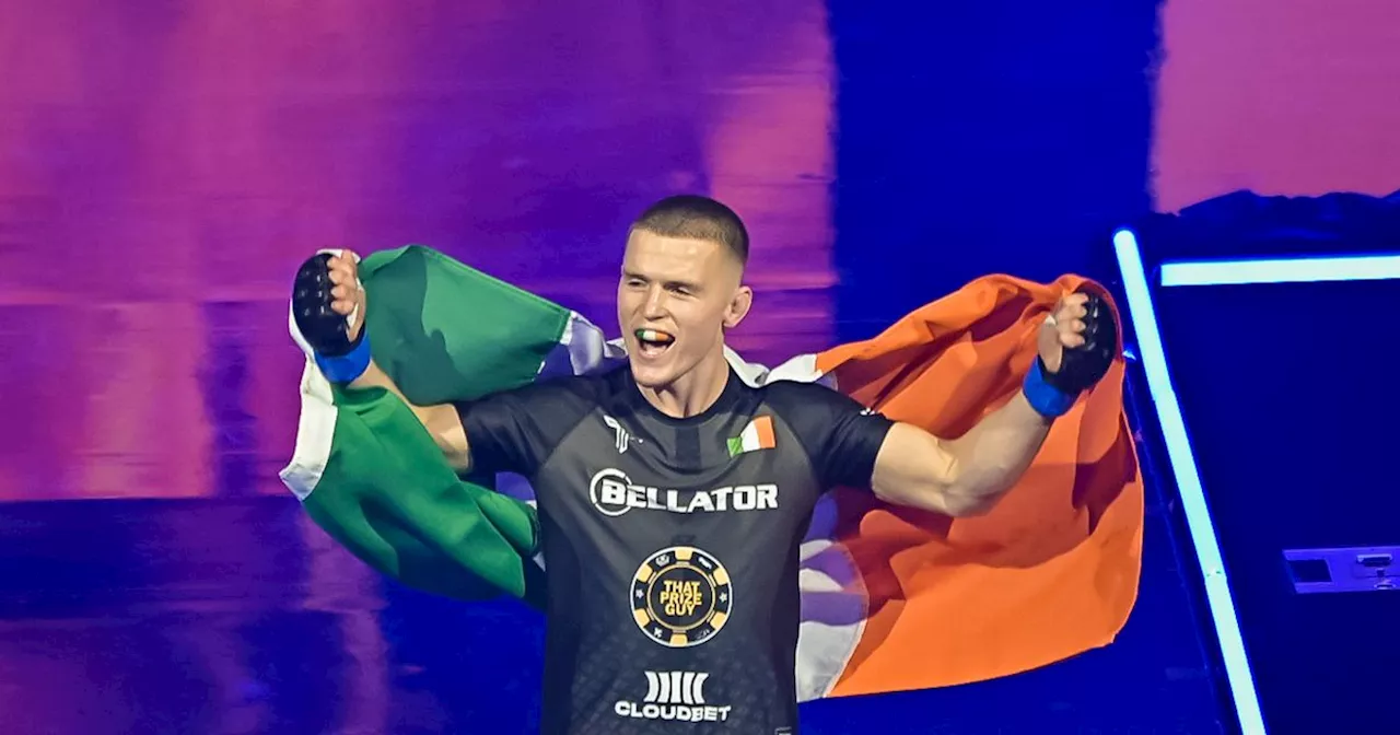 Conor McGregor Slams Paul Hughes' Irish Identity After Tricolour Row