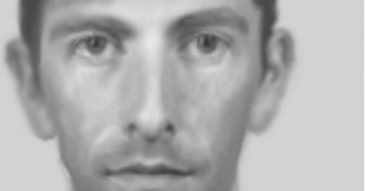 Gardaí Seek Public Help to Identify Suspect in Athy Rape