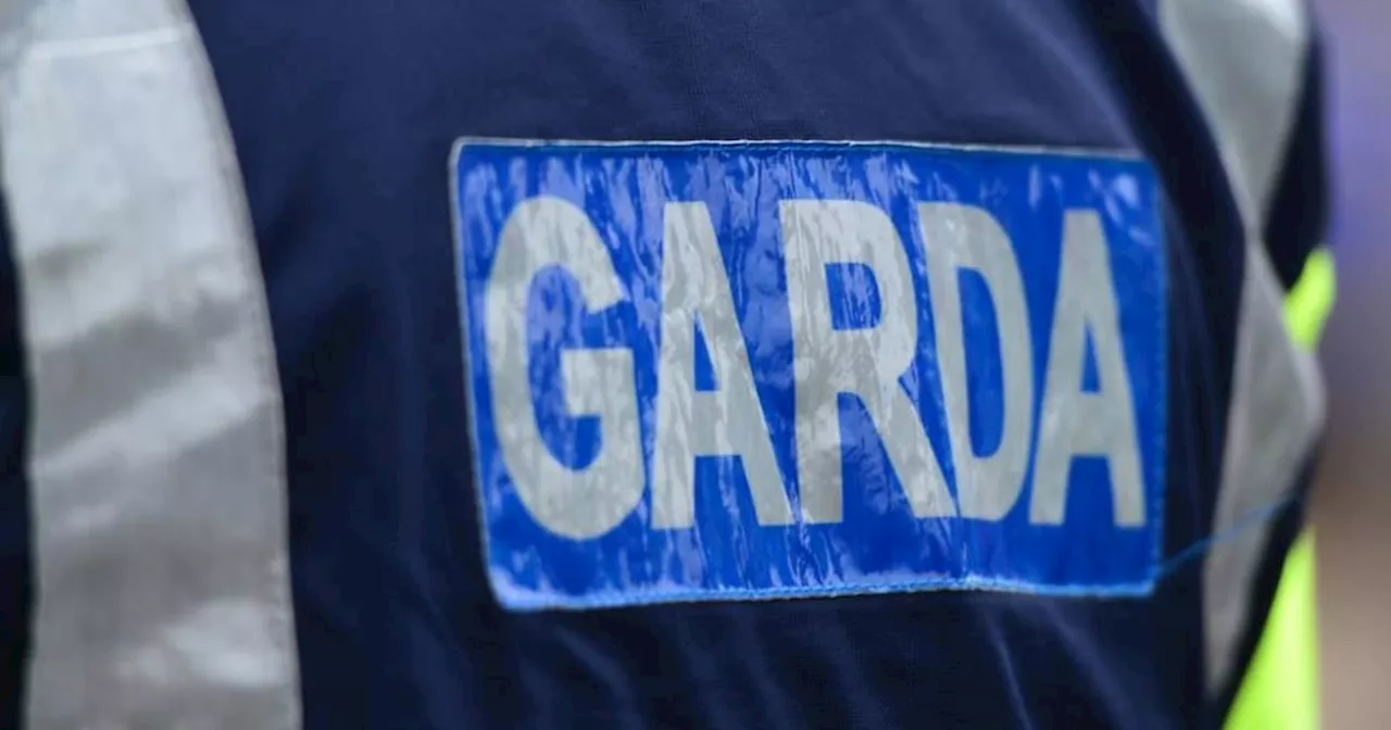 Probationary Garda's Career Ends After Cocaine Charge