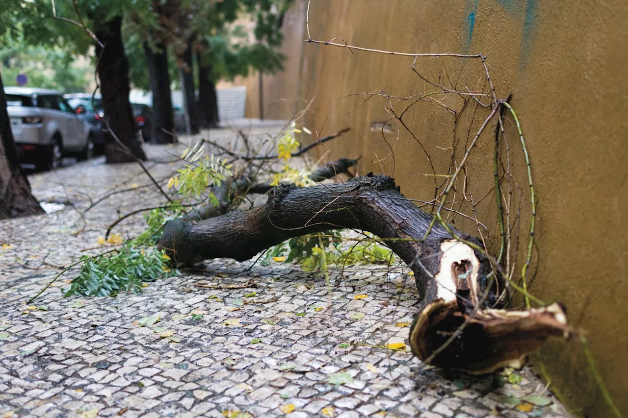 Aviso Vermelho do IPMA por Agitação Marítima Forte; Chuva, Vento e Queda de Neve Causam Disrupções