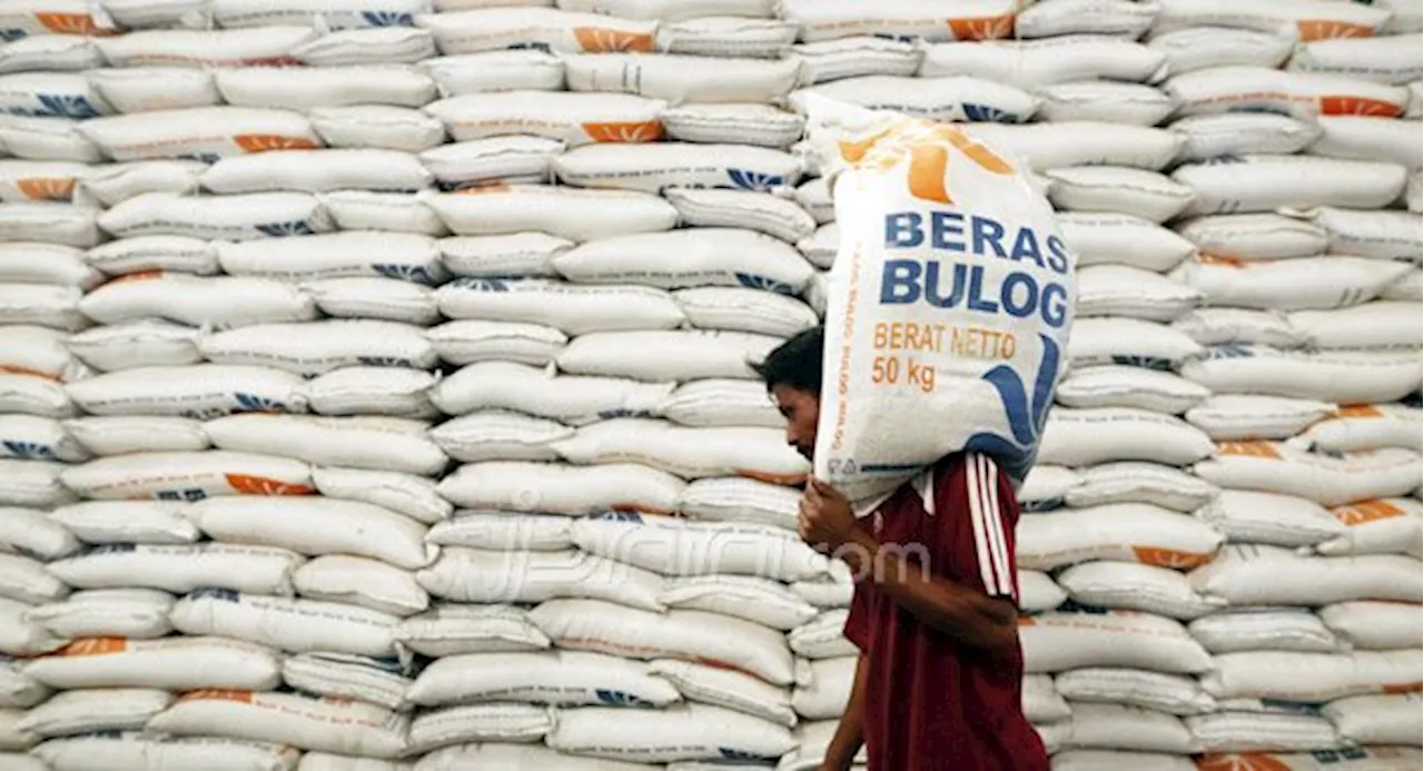 Riyono Tekankan Pentingnya Bulog Serap Gabah Petani untuk Cegah Impor Beras