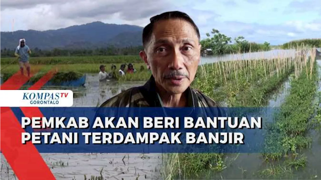 Banjir Luapan Danau Limboto Merendam Ratusan Hektar Lahan Pertanian di Gorontalo