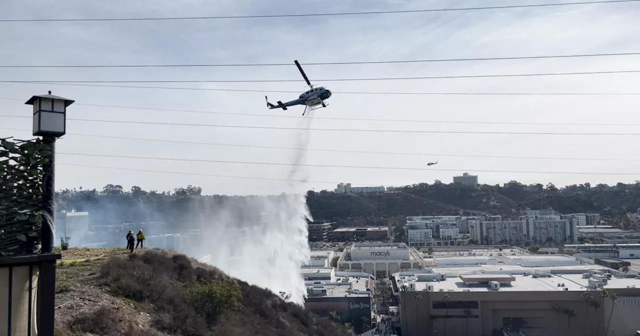 San Diego Renters' Rights After Wildfires