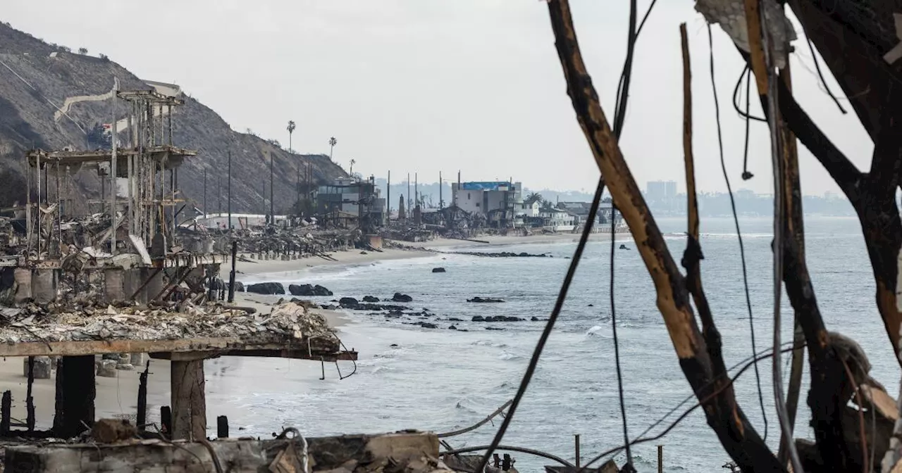 Los Angeles County Closes Beaches Due to Fire Debris Runoff