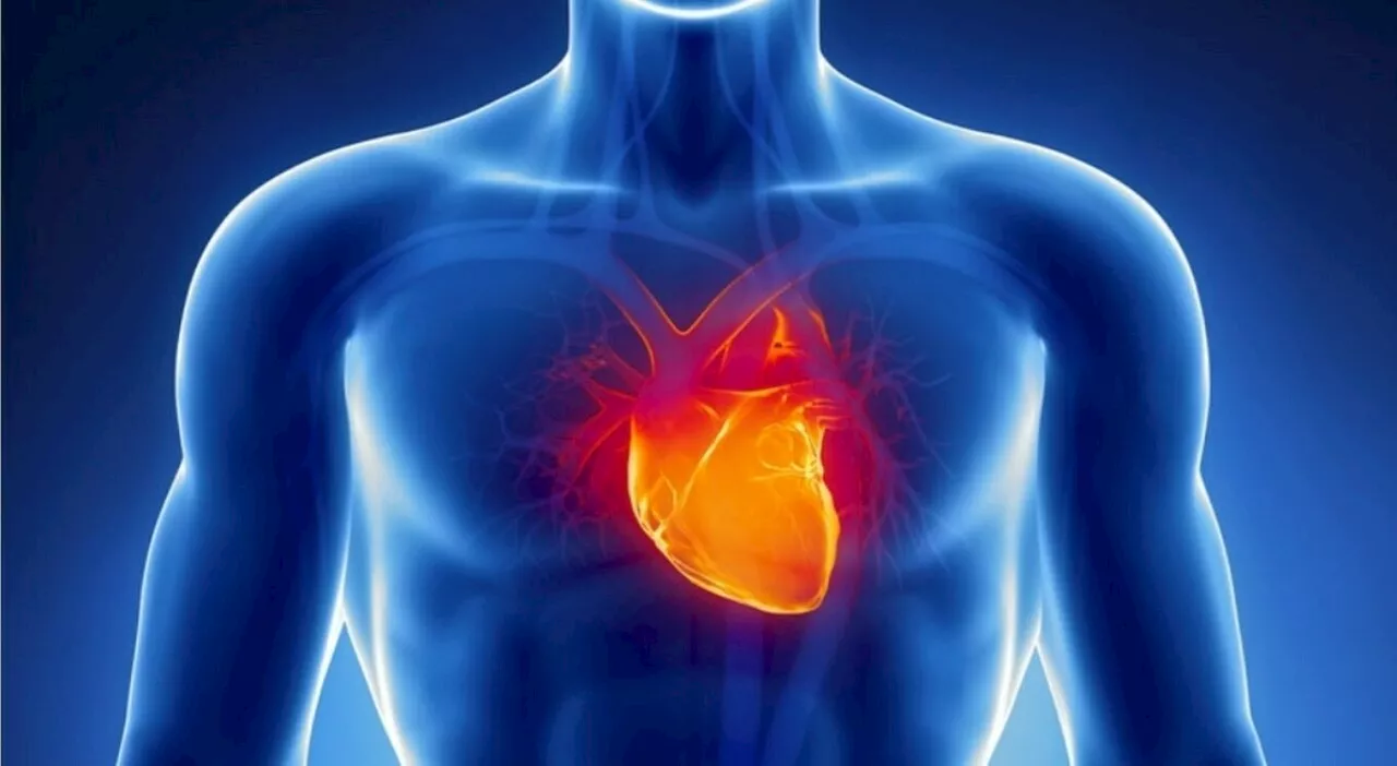 Cerotto di Cellule Staminali per Riparare il Cuore: Speranze per l'Insufficienza Cardiaca