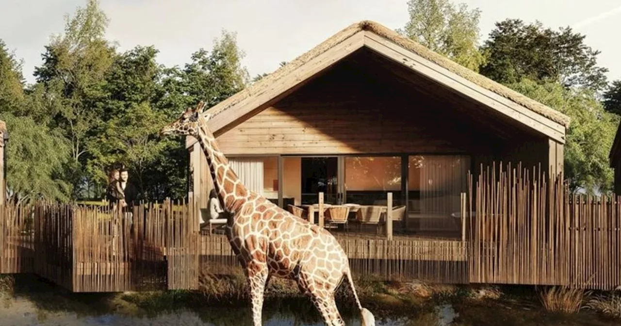 Chester Zoo faces backlash over 'ridiculous' price of new luxury safari lodges