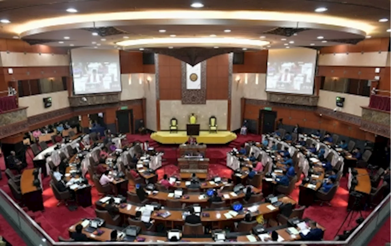 What do local councillors actually do? A guide as Selangor’s assessment tax hike sparks debate