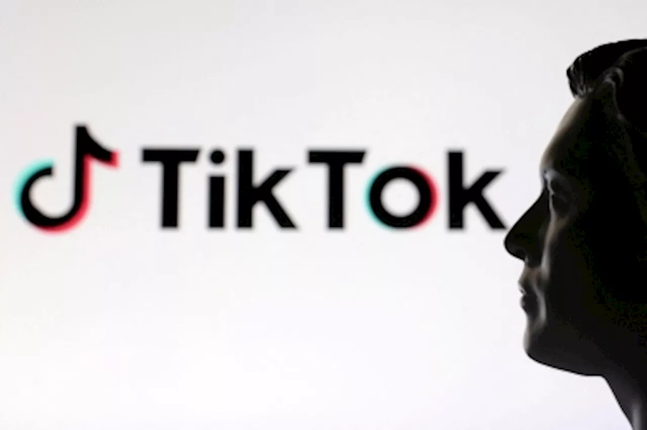 Who will save TikTok? Musk, Microsoft, Oracle among potential buyers as US ban looms