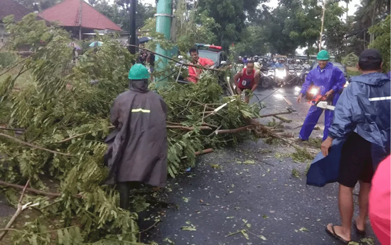 Tuntutan Pohon Tumbang dan Kebakaran Glodok Plaza