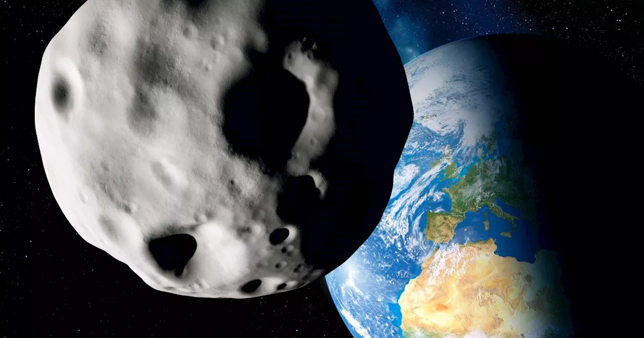 Scientists discover 'significantly sized' asteroid that could hit Earth