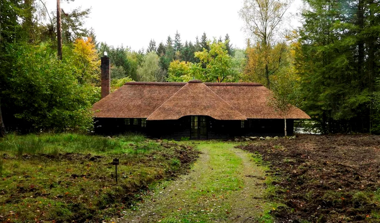 Forstgutsbezirk Sachsenwald erhält irrtümlich 130.000 Euro aus kommunalem Finanzausgleich