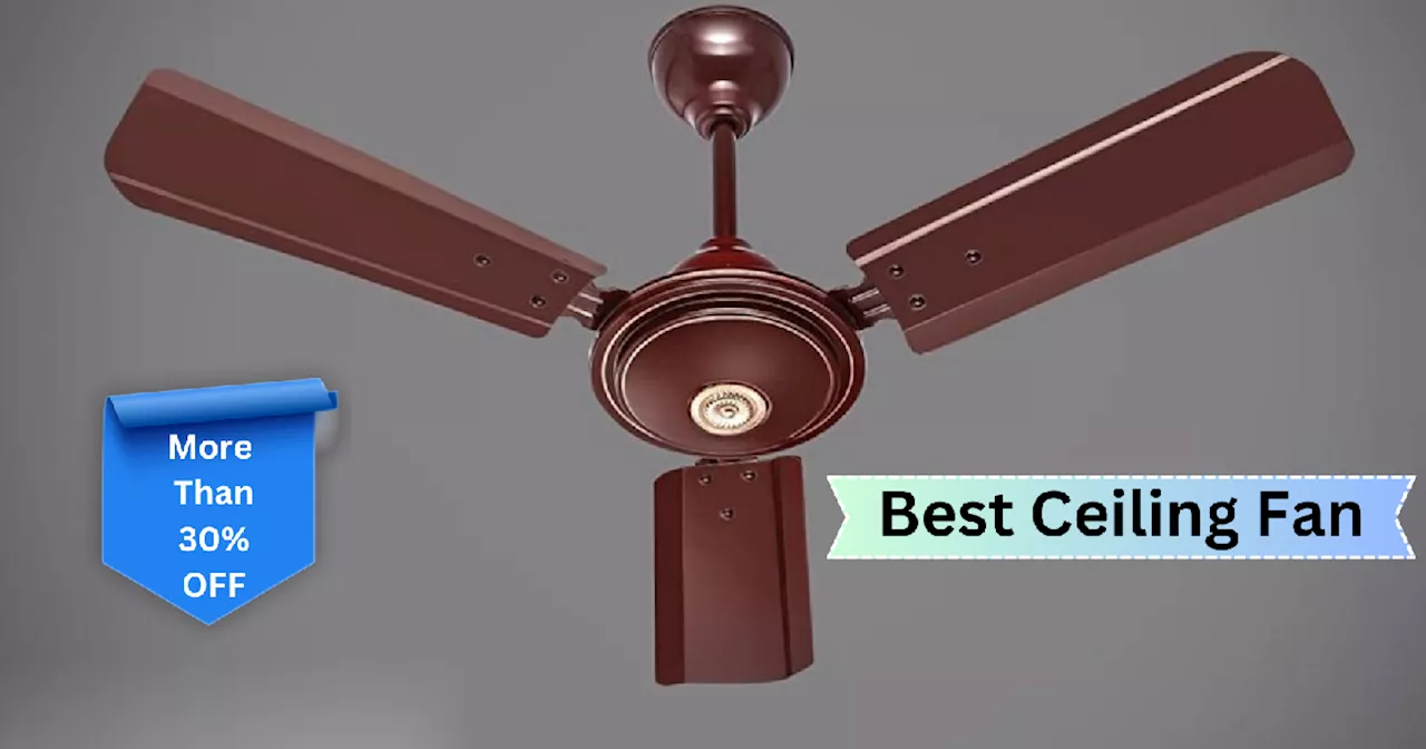 Amazon Sale: बंपर ऑफर पर मिल रहे हैं High Delivery Ceiling Fans