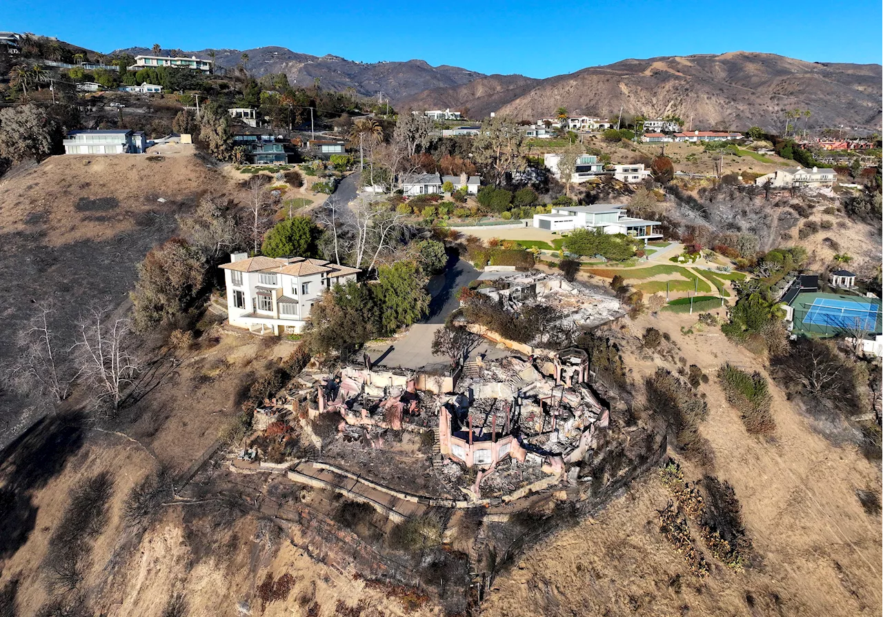 DWP to Hire Engineer After Empty Reservoir Eyed in Palisades Fire Water Failures