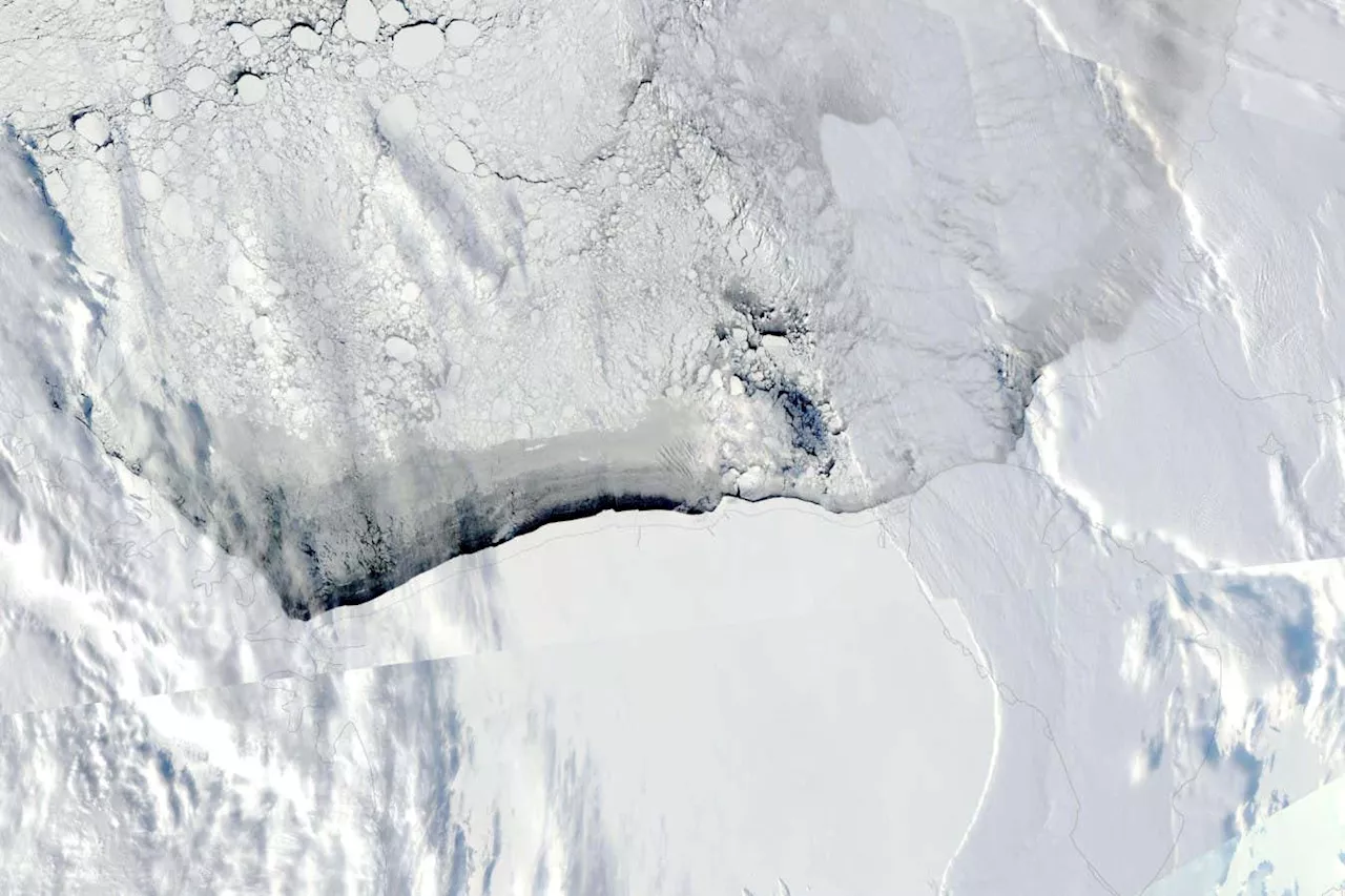 Ancient Ice Shelf Suggests West Antarctica Might Not Collapse Entirely