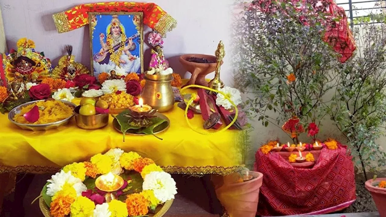 Basant Panchami Tulsi Puja: बसंत पंचमी के दिन क्या है तुलसी पूजन का महत्व, जानें शुभ मुहूर्त और विधि