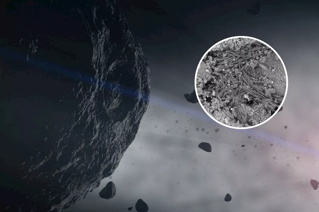 Asteroid Bennu's Samples Reveal Building Blocks of Life