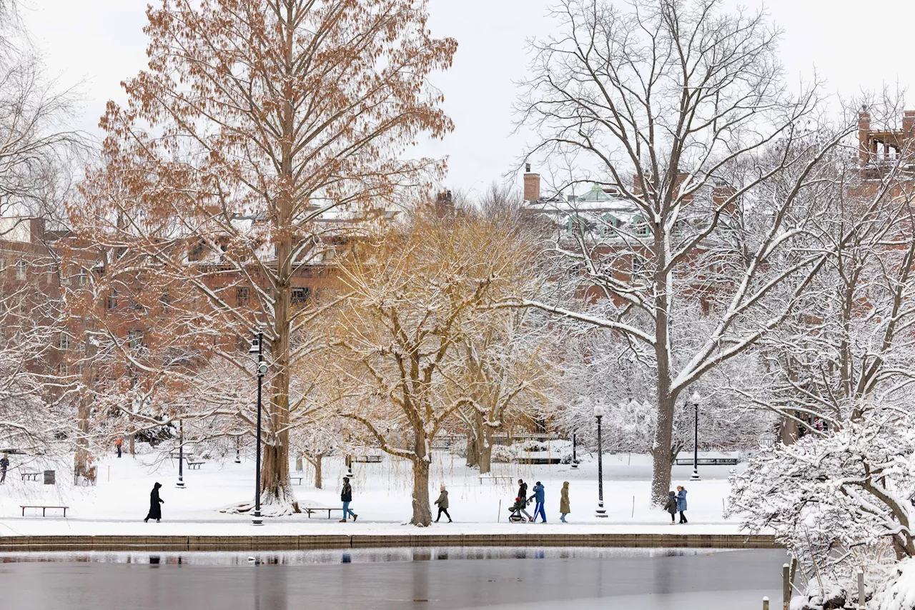 Northeastern US Braces for Hazardous Snow Squalls