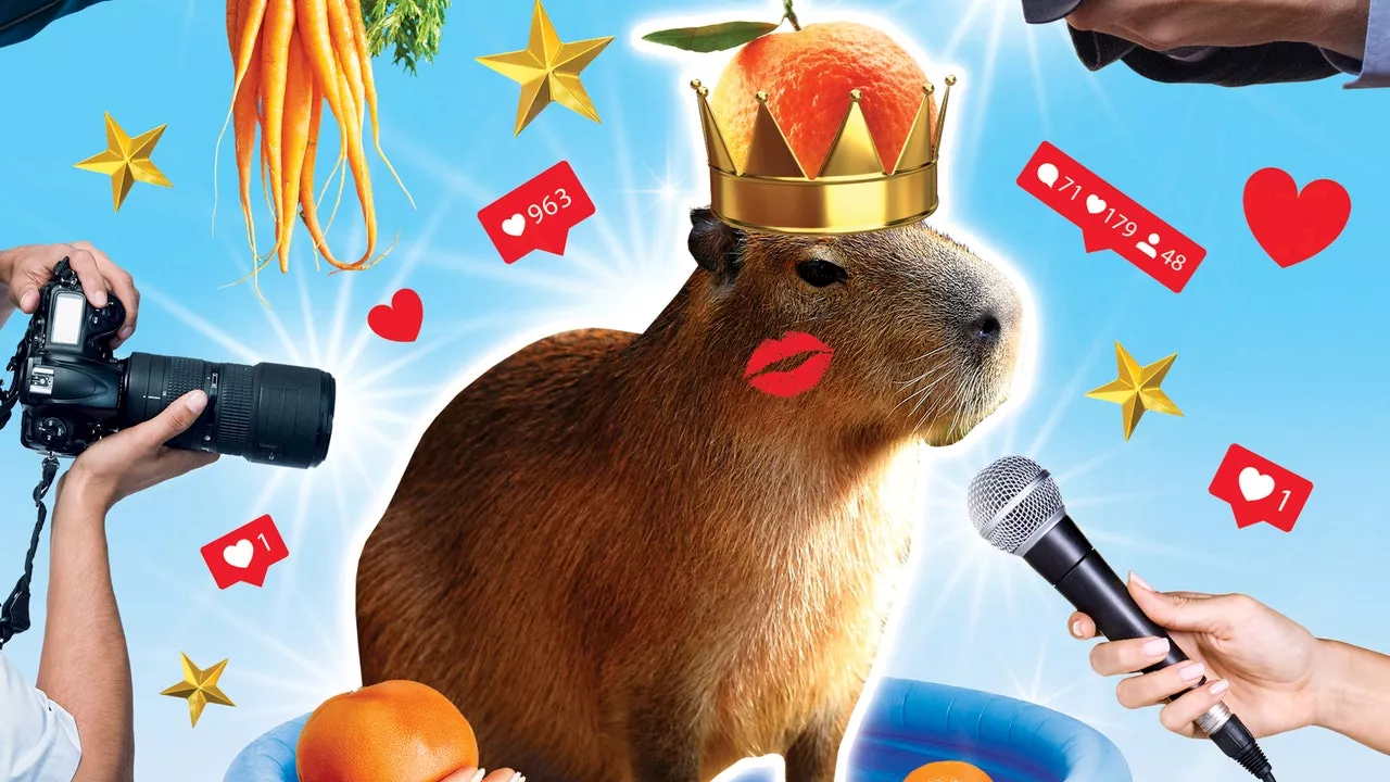 The Capybara's Uncanny Appeal