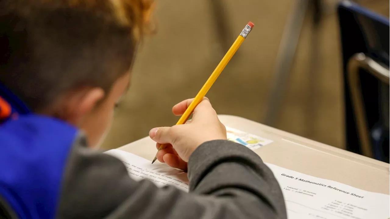 Nation's Report Card Shows Math Gains, Reading Woes, and Lingering Pandemic Impact