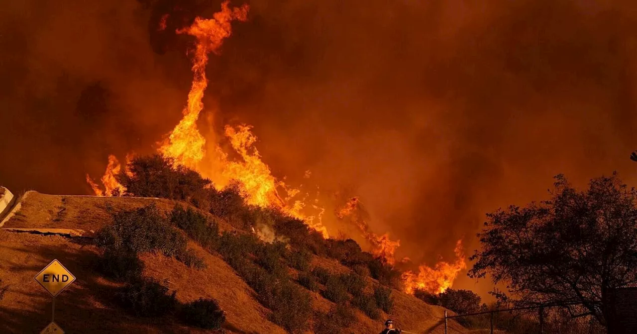 Feuer von Los Angeles: Klimawandel als Brandförderer