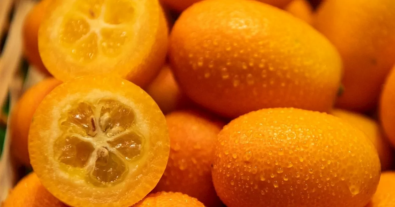 Kumquats: Mini-Orangen lassen sich als Ganzes snacken