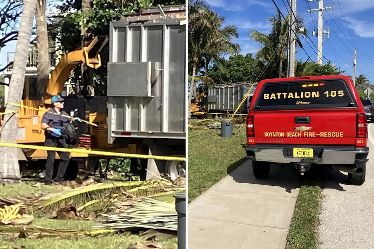 Florida tree trimmer killed after getting caught in wood chipper while working at town hall