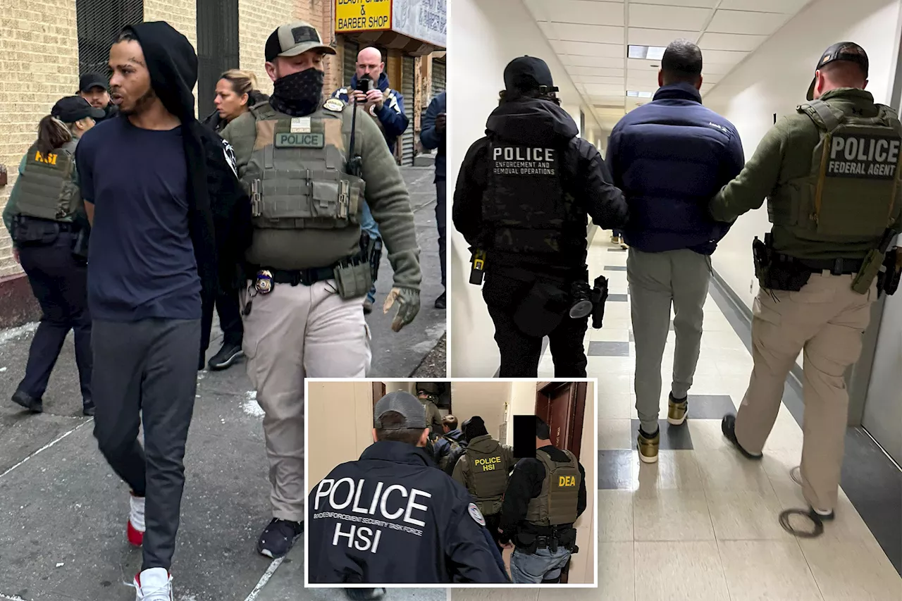 ICE Raids Target Venezuelan Gang in Bronx, Sparking Debate on Immigration