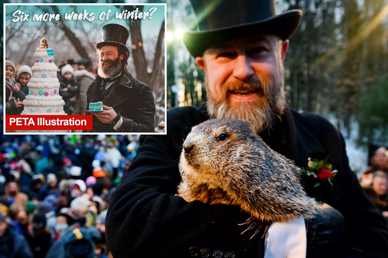 watch live groundhog day 2025