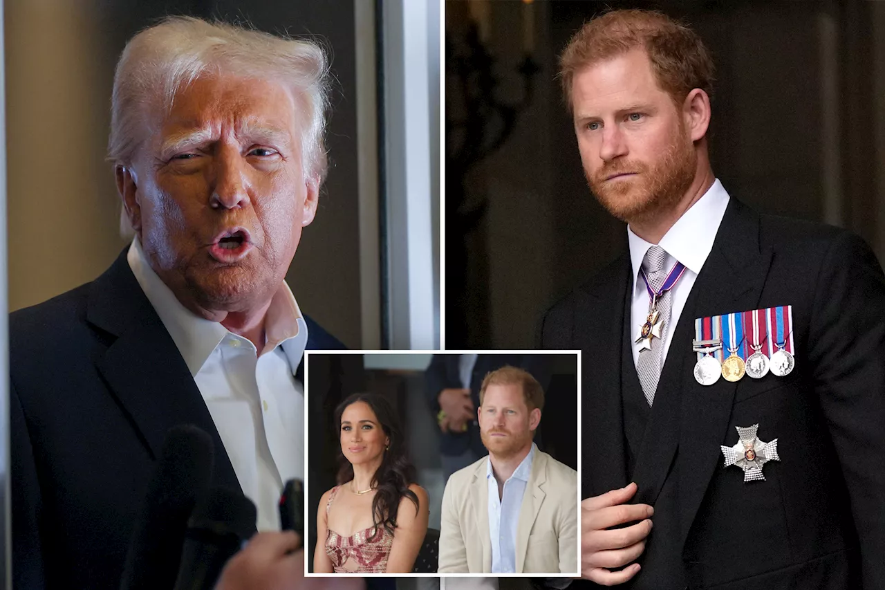 Prince Harry's Visa Fate Hangs in Balance as Records Face Scrutiny in First Court Hearing Under Trump