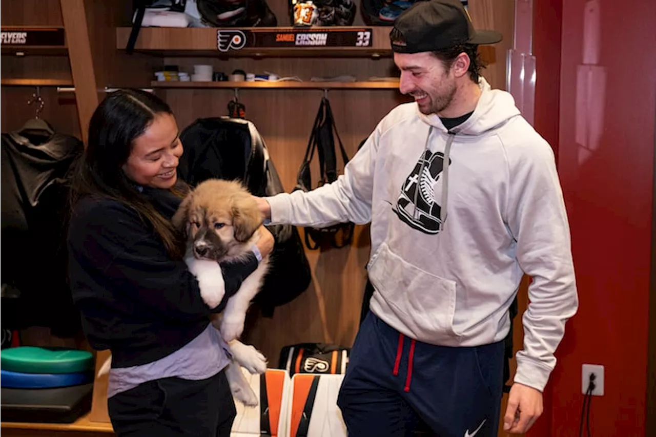 With Help From the Flyers, Abandoned Puppies Are Finding Forever Homes: 'It Was a Yes Immediately'