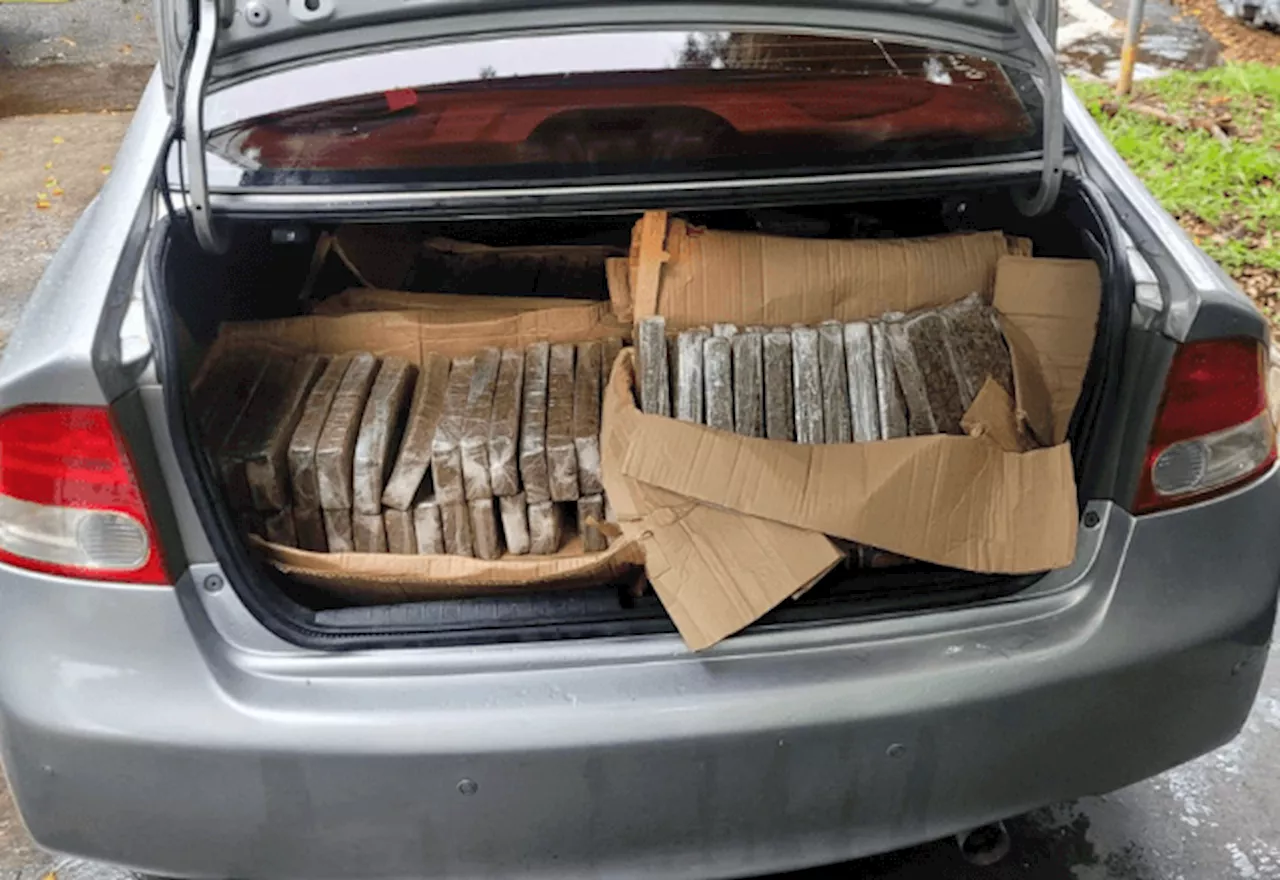 Polícia de SP intercepta carro com 100 kg de maconha